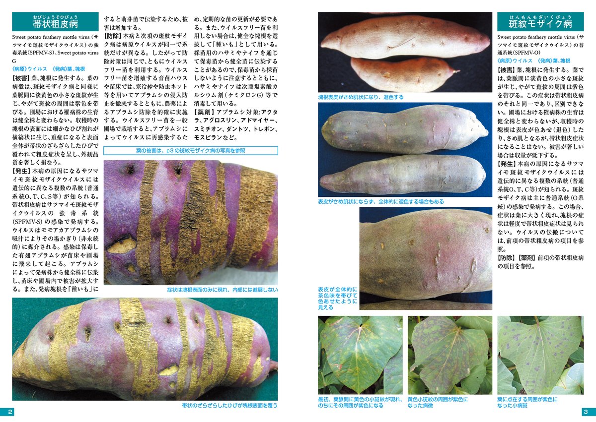 全国農村教育協会 (出版社) (@ZENNOKYO) / Posts / X