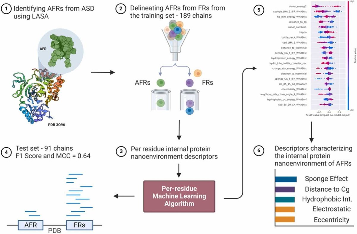 CSB_Journal's tweet image. 🔗 Protein allosteric site identification using machine learning and per amino acid residue reported internal protein nanoenvironment descriptors. DOI: doi.org/10.1016/j.csbj…

📚 CSBJ: csbj.org

#DrugDiscovery #ComputationalBiology #StructuralBiology @CSB_Journal