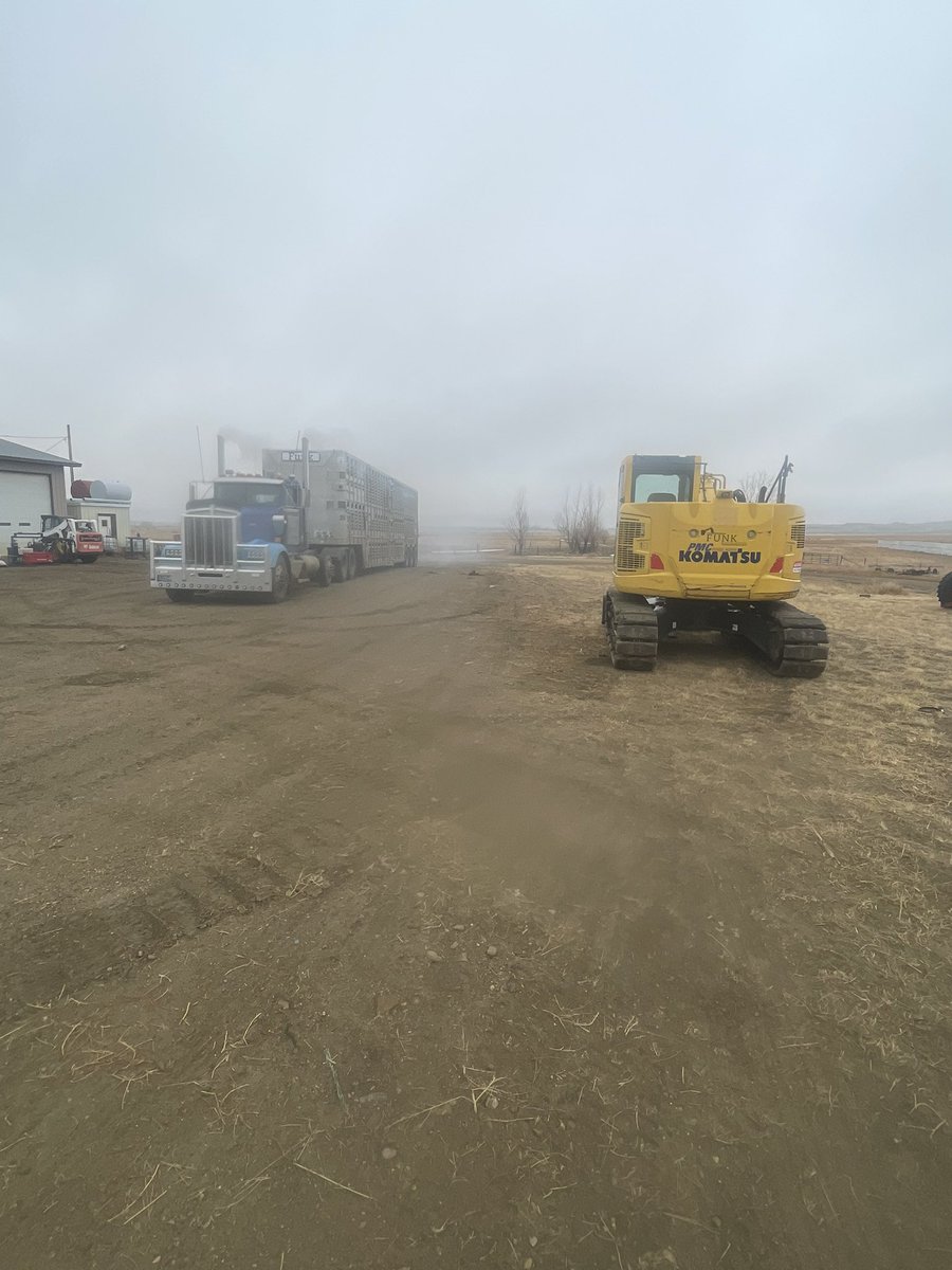 funkinator97's tweet image. When I bought all this stuff I figured I would have problems finding work for it all

The only problem I’ve had is only having one ass, could keep it all moving every day