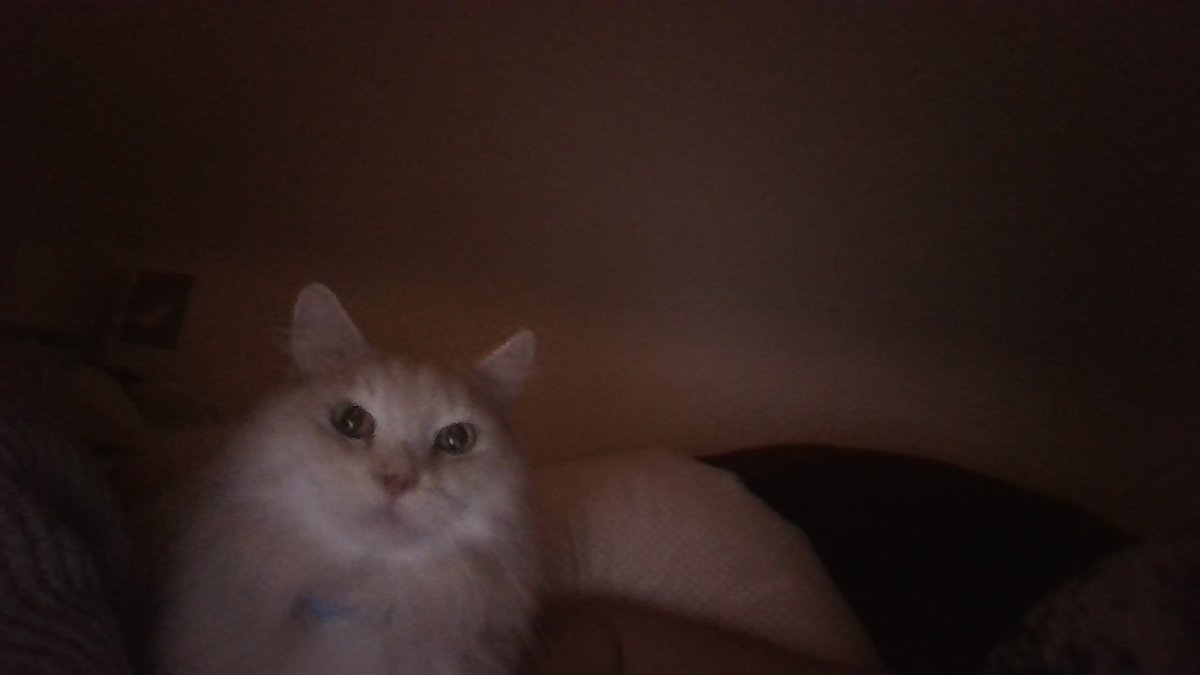 pix0_o's tweet image. new dave pic just dropped #dave