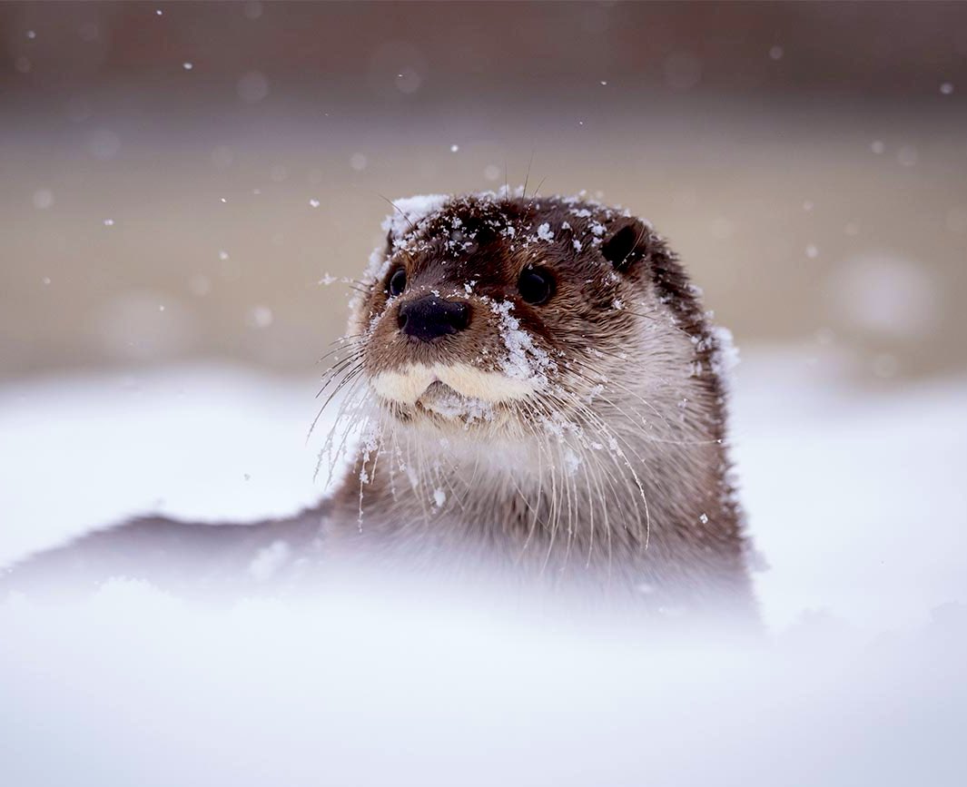 最近、仕事の夢ばかりみるし朝は4時に目が覚めるし身体が疲れてます😮‍💨