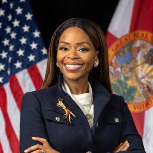 BREAKING🚨: Three Democratic members of Congress are currently facing federal indictments:

- Rep. LaMonica McIver (D-NJ): Charged with assaulting a federal agent  
- Rep. Sheila Cherfilus-McCormick (D-FL): Alleged to have diverted $5 million in FEMA funds for campaign use  
-