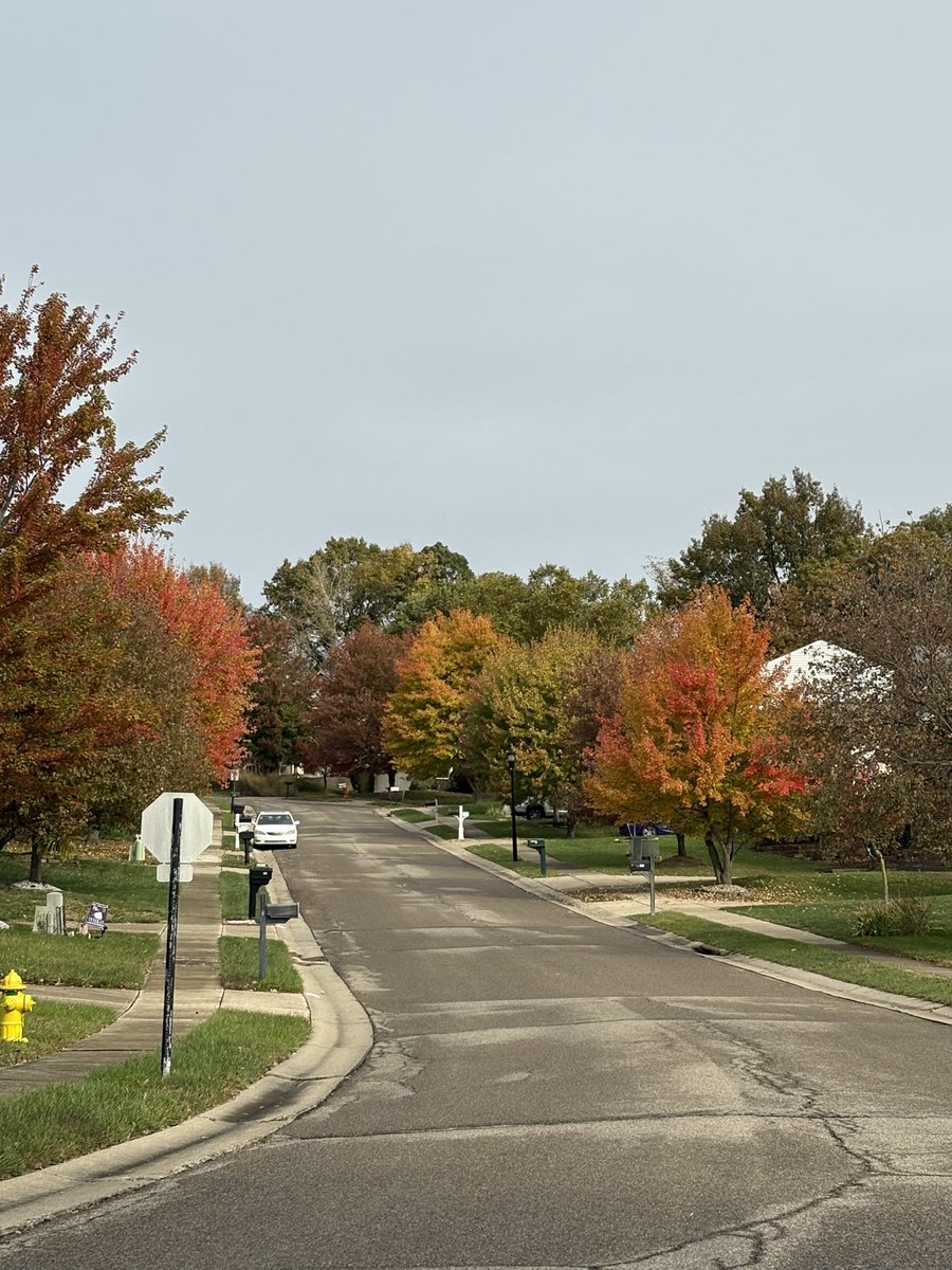 falcon0971's tweet photo. We had a heavy thunderstorm last night, so most of the leaves have dropped. Here is my annual autumn leave color post. #fall #autumn #mothernature #mothernaturesbeauty #fallcolors๐๐ #fallcolor #fallcolors #fallvibes #fallcolours #autumnleaves #fallleaves๐๐ https://t.co/PUn3cqQSqO