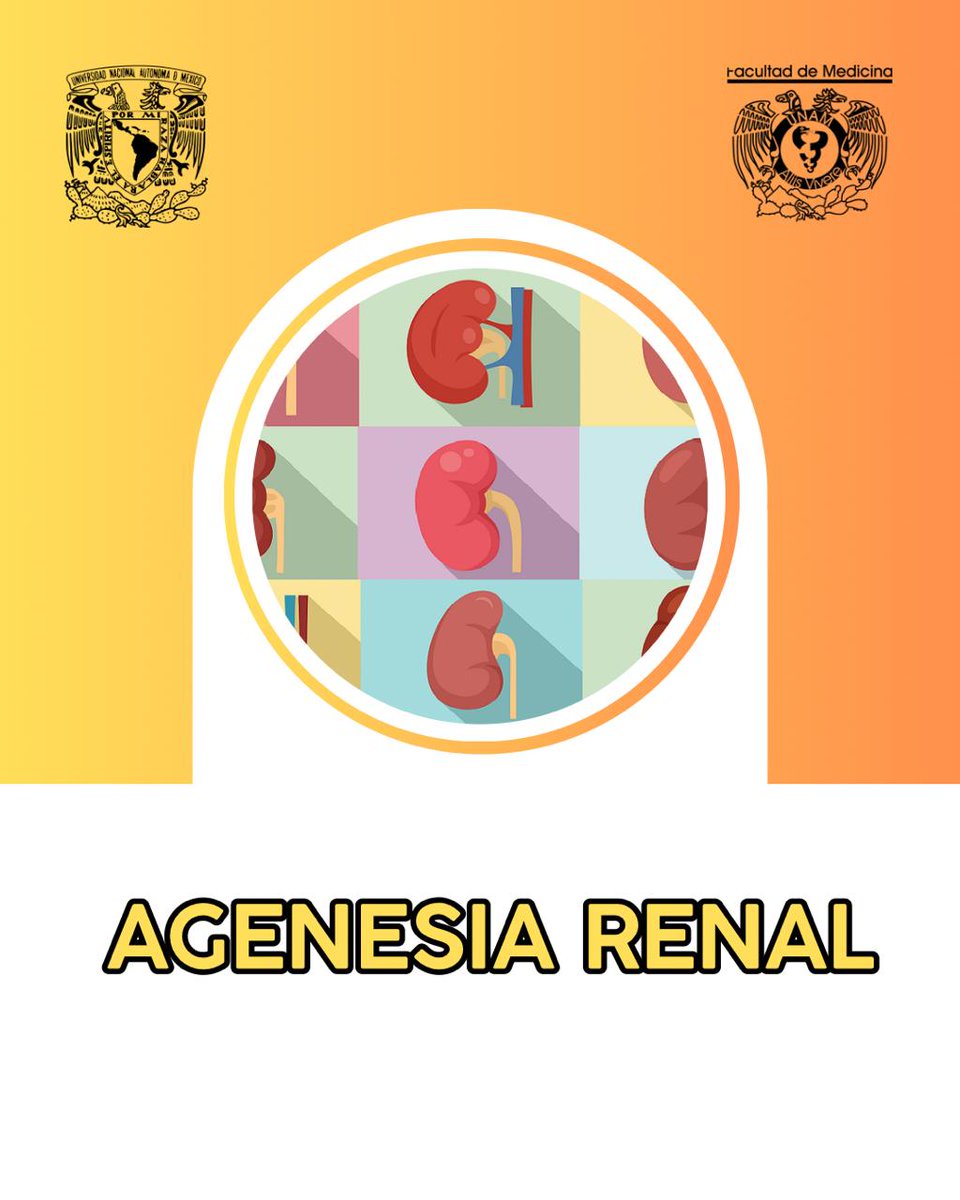 Sociedad Estudiantil de Nefrología tweet media