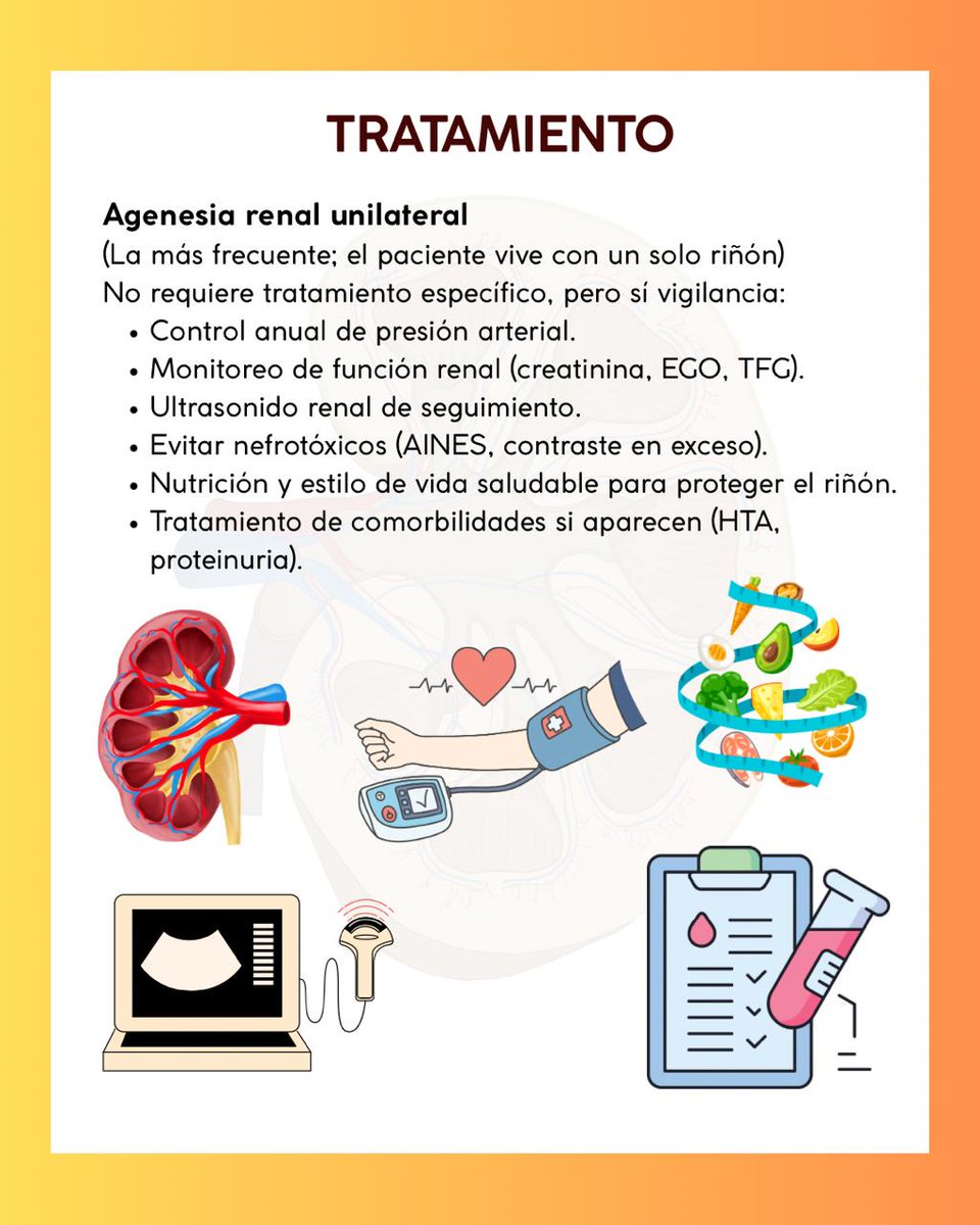 Sociedad Estudiantil de Nefrología tweet media
