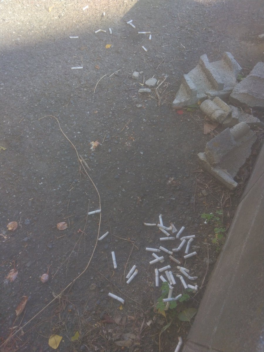 8JYxbzCVQ9x1v0U's tweet image. ……なぁ……

これは流石に無くねえか？？

当店の駐車場は灰皿なんか？

やってくれますなぁ……

ふーーん。