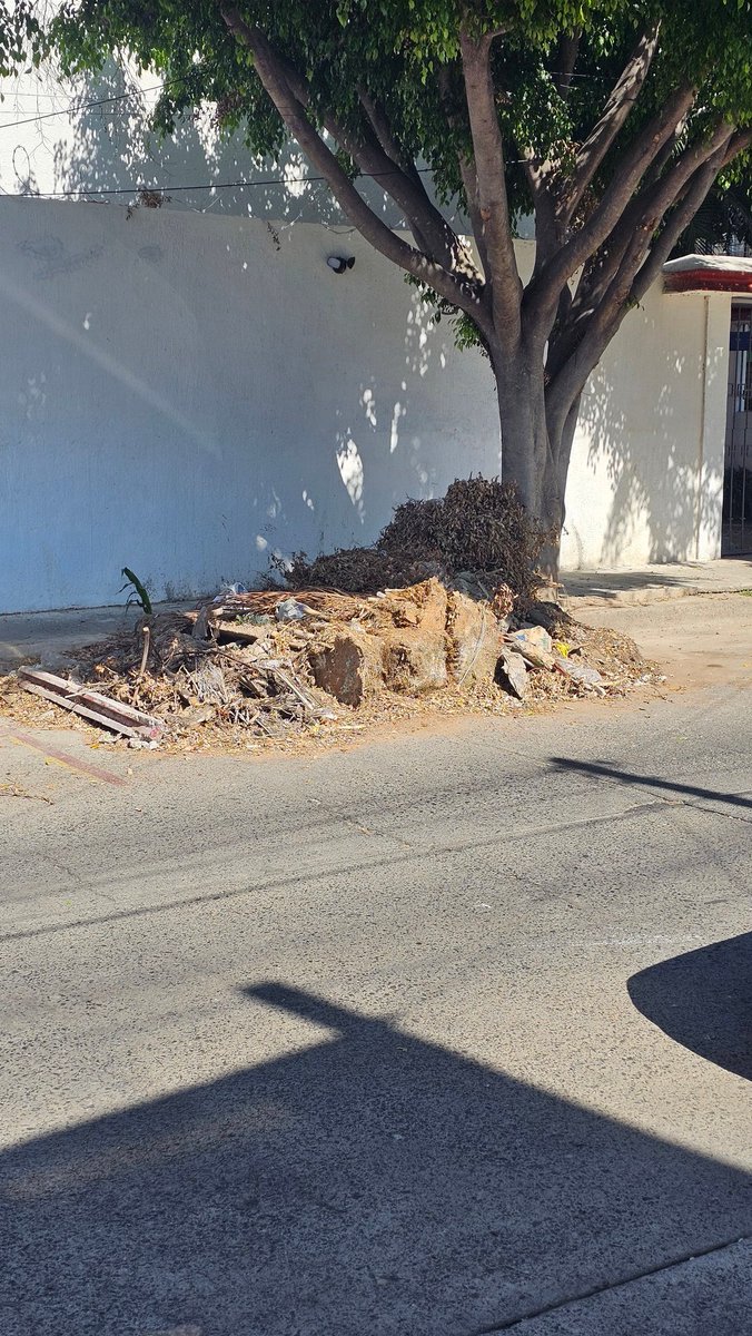 Para lo que sirven las unidades de limpieza <a href="/VeroDelgadilloG/">Verónica Delgadillo</a> <a href="/GuadalajaraGob/">Gobierno de Guadalajara</a> <a href="/Trafico_ZMG/">TráficoZMGuadalajara</a> 
Monte blanco y cerro viejo, lomas independencia GDL