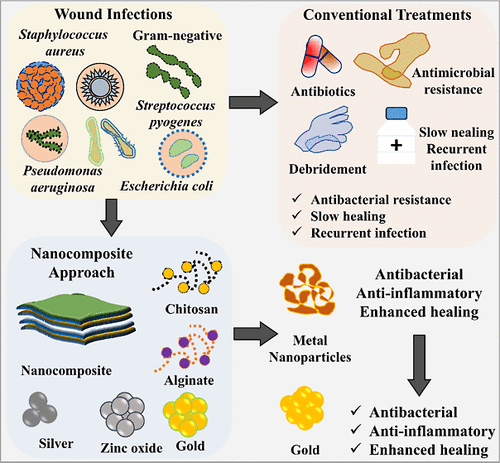 DermalCell's tweet image. Recent advances in #nanotechnology- and biopolymer-based materials have enhanced wound care options. Biopolymers such as chitosan, alginate, and #collagen are valued for their biocompatibility and biodegradability. 

Read the review! ⬇️

bit.ly/49YaLNW