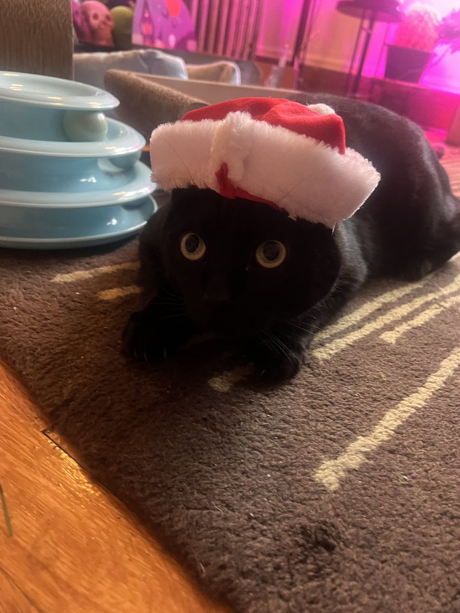 His Santa hat 🥹🥹🎄🎅🏼