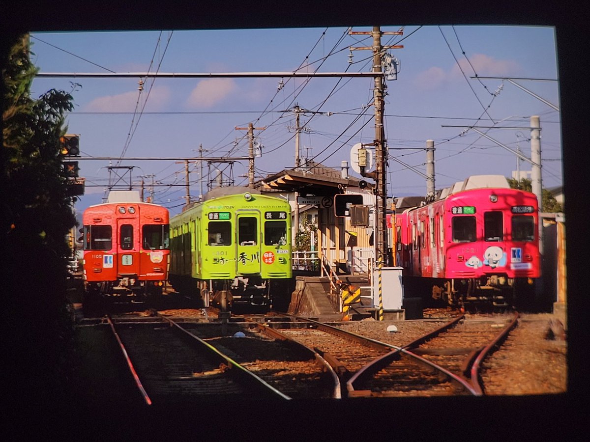 うさみみプードル・プやんのパパ (@nagaoyoshio) / Posts / X