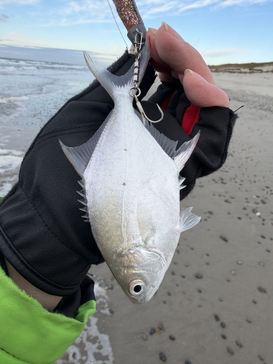 【もんさん】 Sinotruck HOWO Mining Tipper Truck 50-80 Ton Zz5707V3842cj Win You