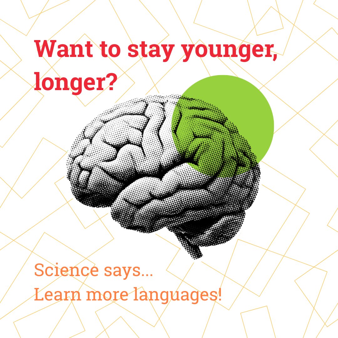 Language_Bird's tweet image. 🧠 Want to reverse aging? According to @Inc, you should learn another language.
Multilinguals = 2.17x less aging risk, stronger memory &amp;amp; focus.
At #LanguageBird, we teach live 1:1 lessons that keep your brain thriving. Your future is fluent. #BrainHealth #LanguageLearning