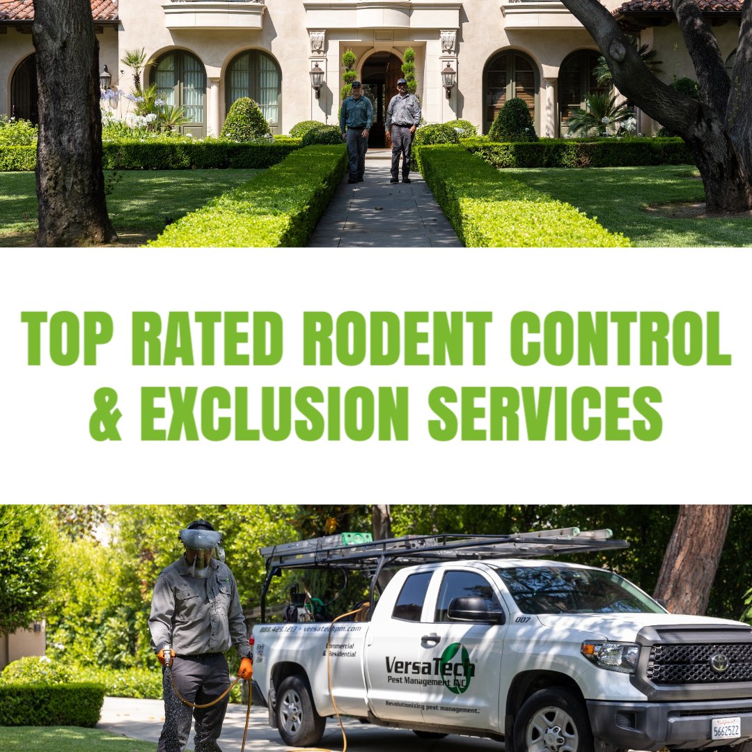 VersaTechPM's tweet image. Have a problem with rodents? Our highly-skilled pest experts at Versa-Tech PM® are here for you with top rated #rodentcontrol &amp;amp; #rodentremoval and exclusion services you can count on. Call to get started at (888) 429-1213. #exterminatorsnearme #ratcontrol #rodents