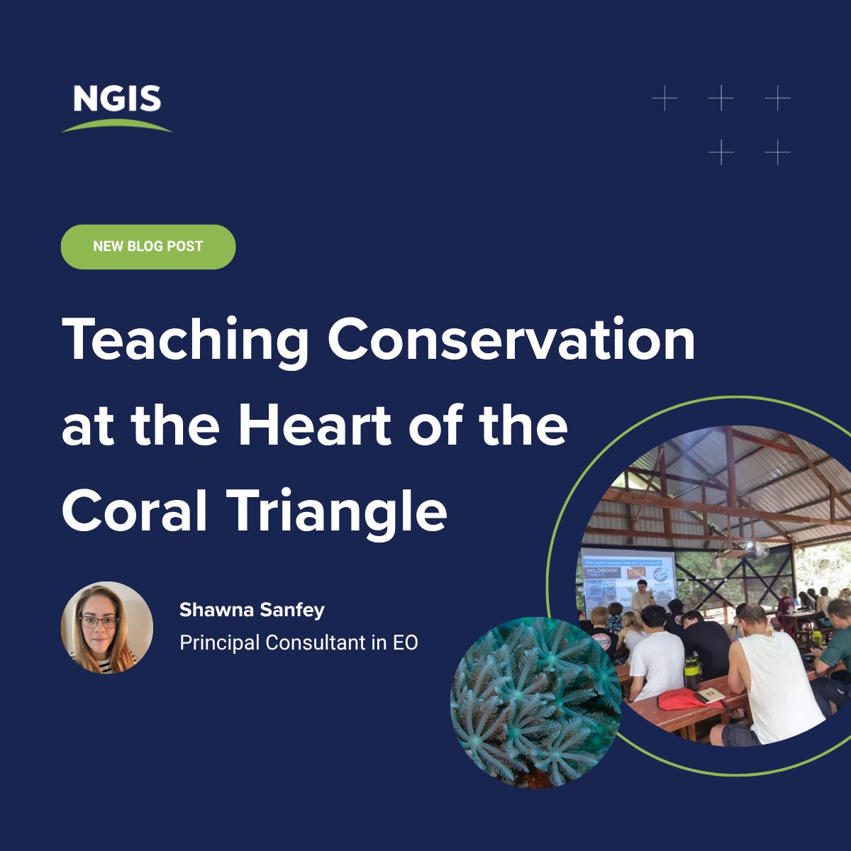 ngis_australia's tweet image. 🐠🌿When a classroom becomes a coral reef Our Principal Consultant travelled to Wakatobi Marine National Park to teach future scientists in the heart of the Coral Triangle.
👉 Read more: hubs.ly/Q03THtKw0

#Conservation #GeospatialTechnology #MarineScience #Sustainability