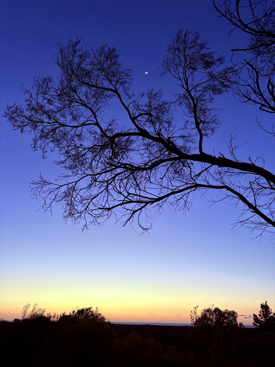 今日は「蠍座新月」です。（15:48頃）

キーワードはこちら↓

＊本音
＊本質
＊覚悟
＊決別
＊変革
＊秘密
＊自分を満たす
＊リセット
＊リスタート

水星は30日まで逆行中。
コミュニケーションエラーには引き続き注意を。

＊オーストラリアで見た空と月が、本当にきれいでした^^