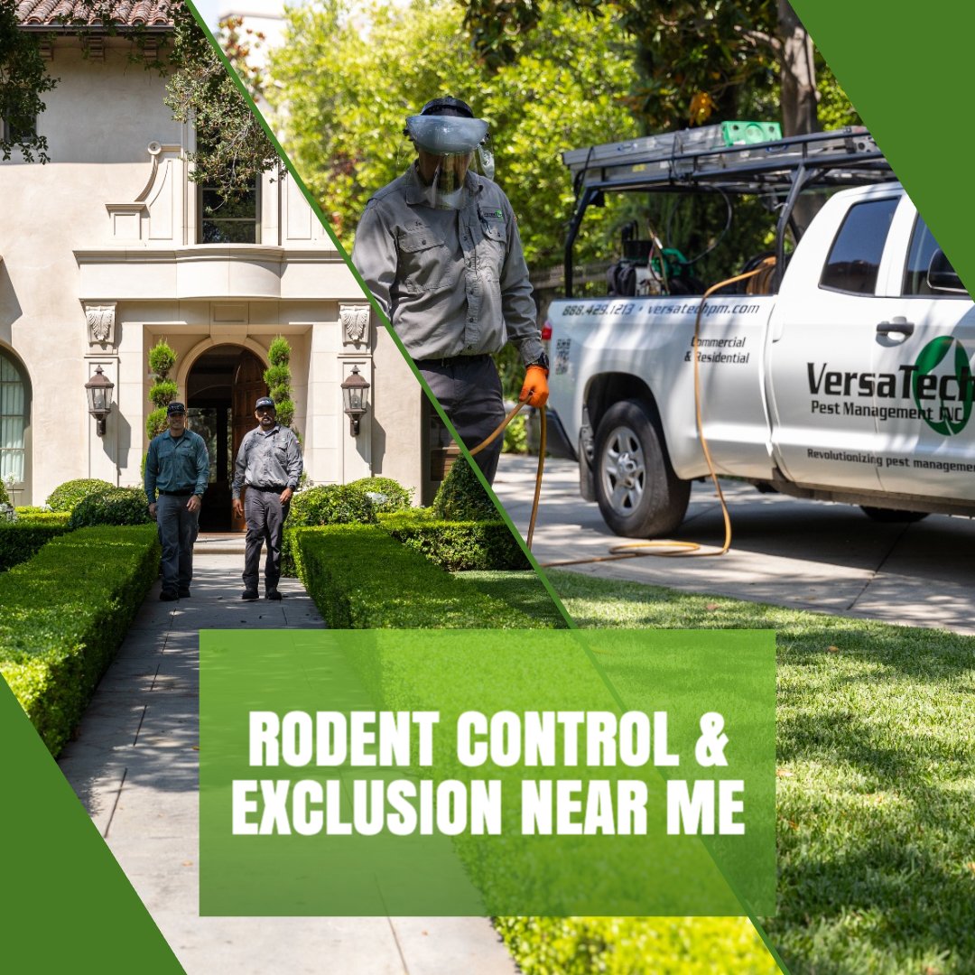 VersaTechPM's tweet image. Have a problem with rodents? Our highly-skilled pest experts at Versa-Tech PM® are here for you with top rated #rodentcontrol &amp;amp; #rodentremoval and exclusion services you can count on. Call to get started at (888) 429-1213. #exterminatorsnearme #ratcontrol #rodents