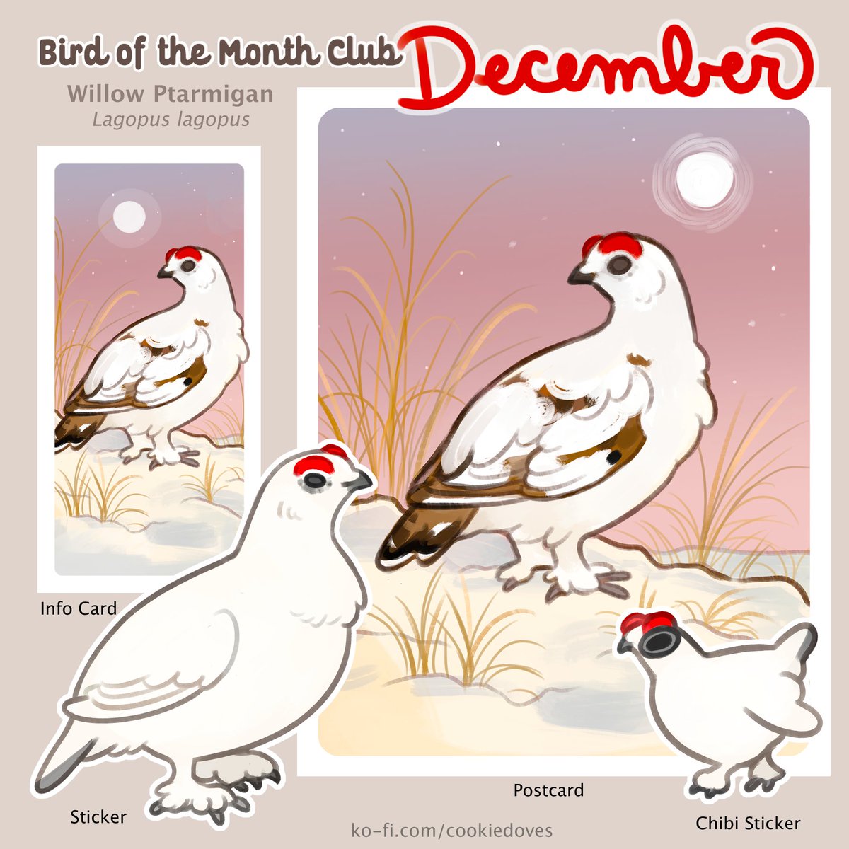 cookiedoves's tweet image. 