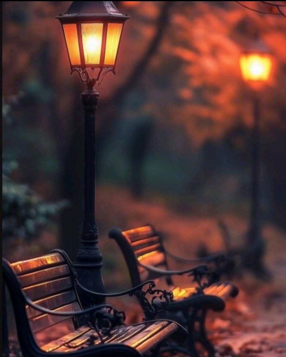 “Al final de la noche,
las preocupaciones se
desmoronan,se rompen
los pensamientos y un 
suspiro tranquilo nos va
a acompañar el final del
día..”
#FelizNoche 🍂🧡🍁