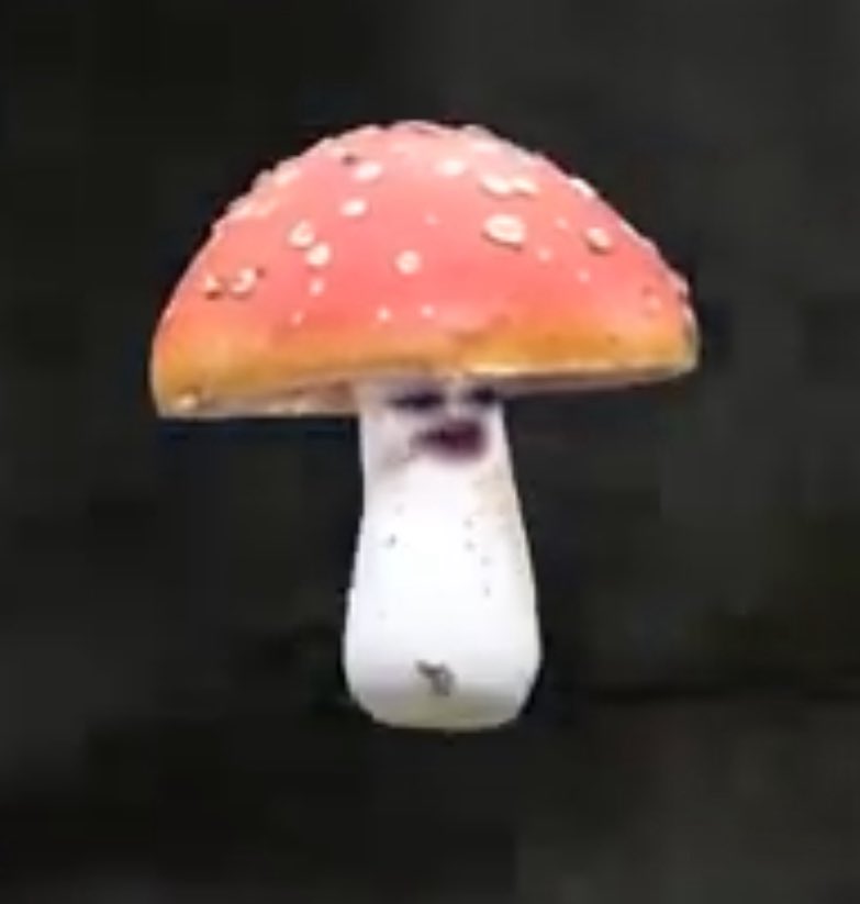 QUESTION. Is there anyone that can make me a cute Salt Shaker Vtube model so that I could stream some days without a webcam?? I’m looking to find one like this mushroom but there’s nothing out there nor do I see anyone that makes them. Not going to do this full time but sometimes
