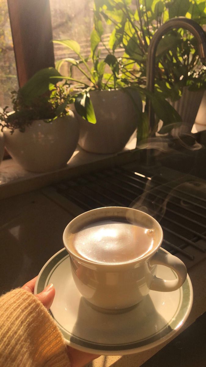 GM Legends ☕️

Thursday morning, the sun’s creeping in slow and my coffee is still warm, but my thoughts are tangled in growth, launchpads, and the rhythm of creators, and Alignerz keeps coming to mind

➥ <a href="/Alignerz_/">AlignerZ.bid</a> : more than just a launchpad. it’s a system built to let