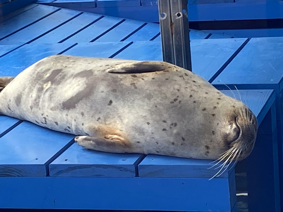 おはようございます🌞