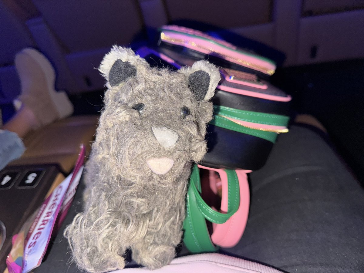 gelphabas's tweet image. me and my 19-year-old toto are seated for #WickedForGood