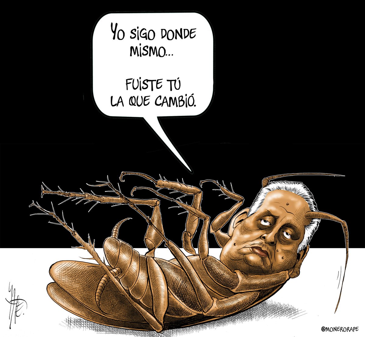 Lo que demuestra que siempre fuiste una cucaracha en el suelo.