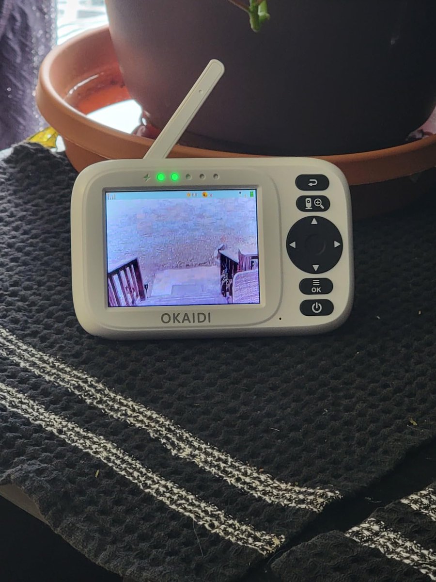 okaidiBBmonitor's tweet image. Coffee in one hand, total peace of mind in the other. ✨

Whether you're in the next room or tackling chores around the house, stay connected to your little dreamer. Okaidi gives you the freedom to get things done.

#MultitaskingMom #DadLife #WorkFromHomeParent #BabyWatching