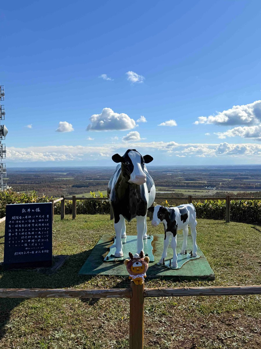 キュンちゃん【公式】 (@kyunchan_dc) / Posts / X