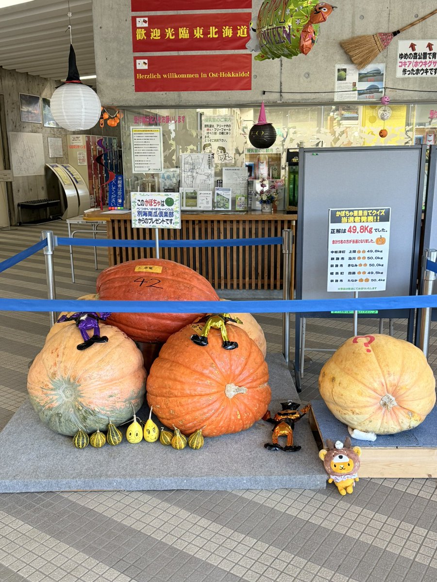 きゅんちゃん様オーダーページ キュンちゃん公式ネットショップ