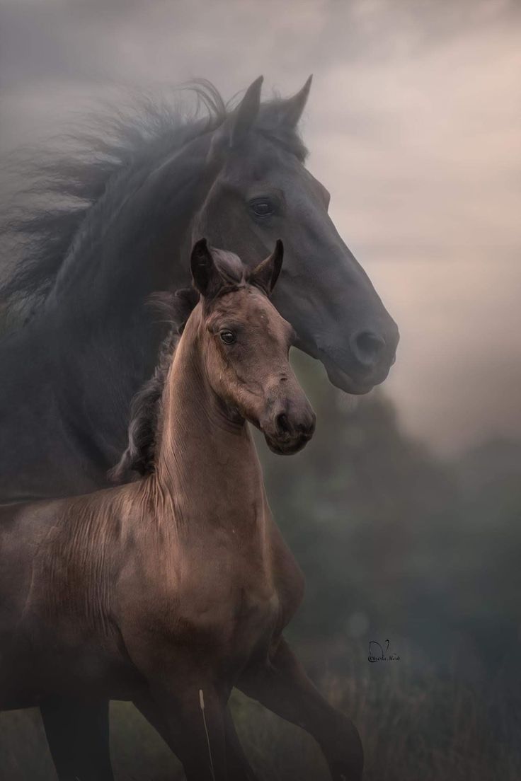 DonnaG1685411's tweet image. Good night, everyone.  Sometimes the best part of a journey are the things you never saw coming. Life has a way of guiding you where you are truly meant to be. Always look forward. The best is yet to come. Have a beautiful night. God bless you. 🌙🍁🙏🏻🕊🪾🍂🧡