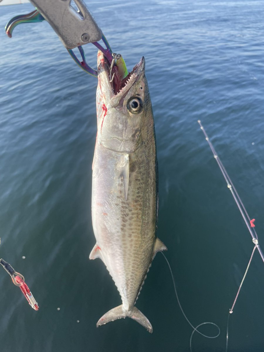 YUUリンク Adore Princess-Cut Diamond Double Halo Bridal Set 3 ct tw 10K