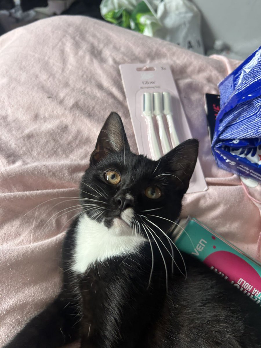 lucyyflutter's tweet image. He always looks at me like this.