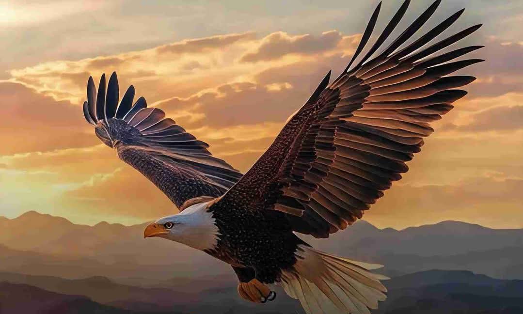 तजुर्बा बता रही हूं दोस्तो

दर्द, गम और डर जो भी है, बस तुम्हारे अंदर है

खुद के बनाए पिंजरे से निकलकर देखो
तुम भी एक सिकंदर हो...!!
