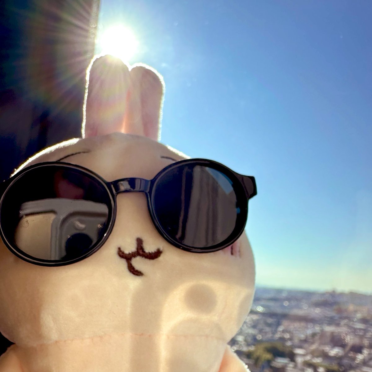 uuu_uuurrraaa_6's tweet photo. 𝔾𝕠𝕠𝕕 𝕄𝕠𝕣𝕟𝕚𝕟𝕘 ☀︎*.｡🐰🕶🫧 https://t.co/X49c1q2Auy