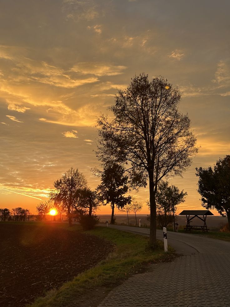 ALTs_Hunte028's tweet image. You will go through situations you don’t deserve, but they will be the ones that make you stronger and wiser.

Good Morning everyone.