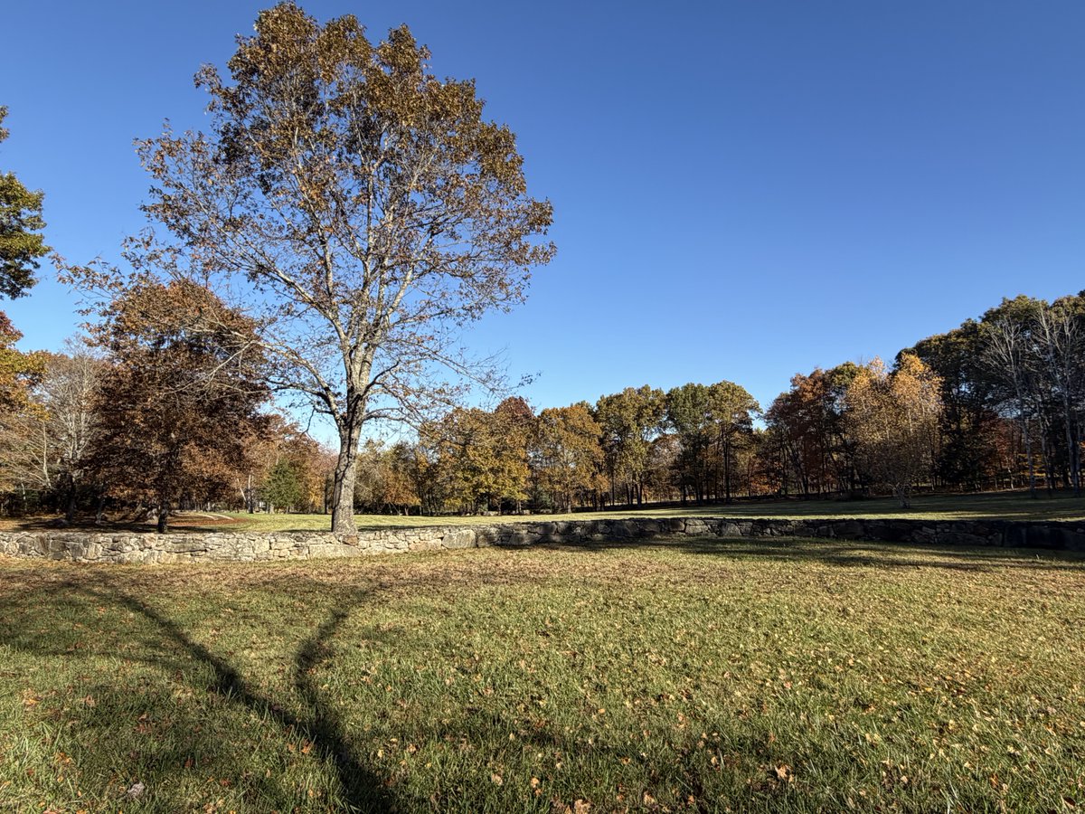 Henry Cameron (@henry__cameron) on Twitter photo 