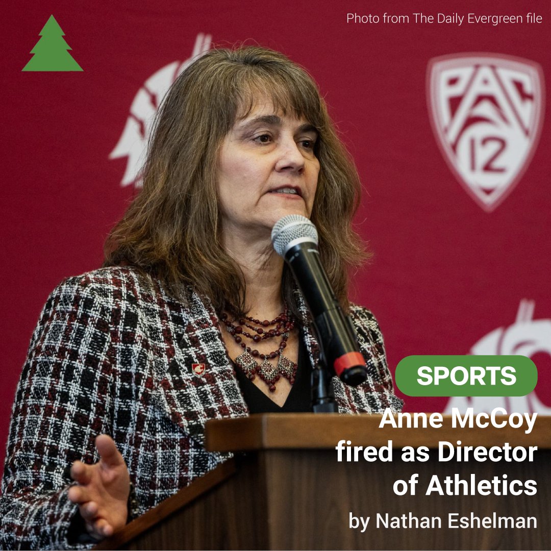 The Daily Evergreen tweet media