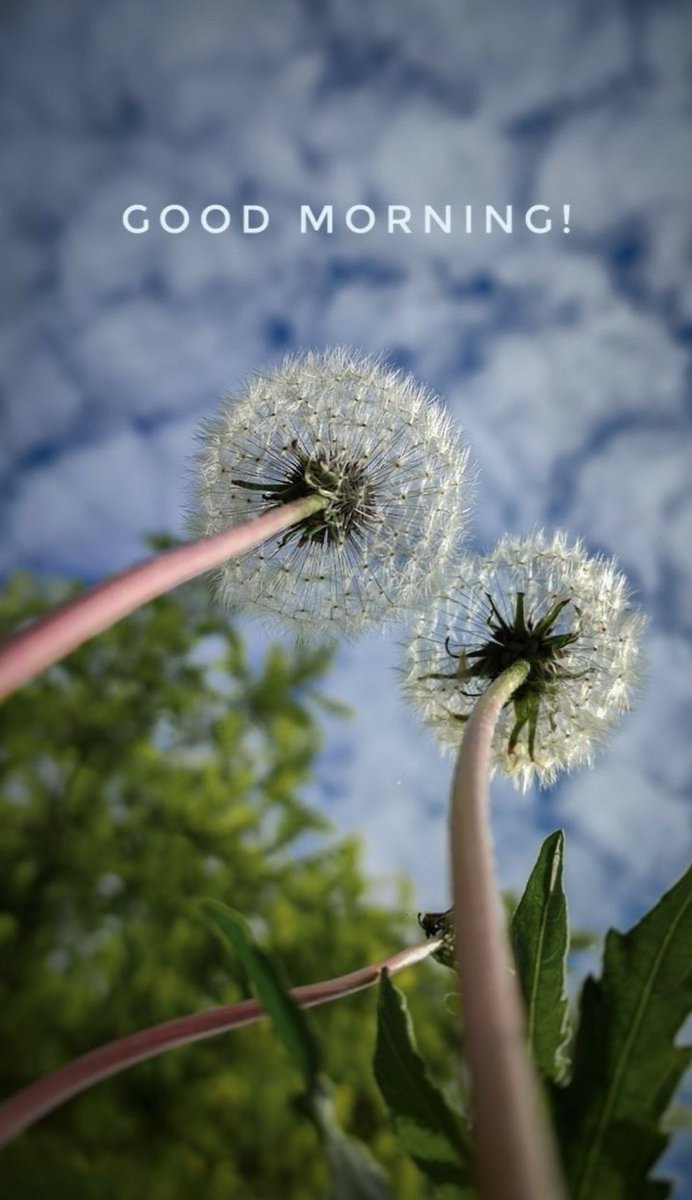 Good Morning X Buddies✌️

Payout is nearby so push yourself one step high🤝😇