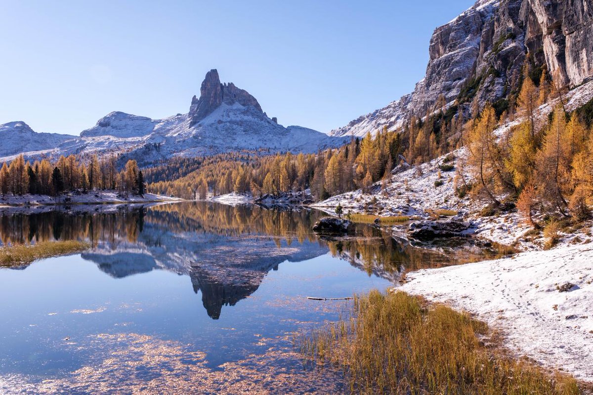 MovieNight_apps's tweet photo. Croda Da Lago in Autumn, Dolomites, Italy [OC] 6000x4000 via /r/EarthPorn https://t.co/24zS1xwT7S

#photography #photooftheday #photographer #photoshoot #picoftheday #art #beautiful
#instagood #photo #nature #travelphotography
#landscapephotography #portraitphotography
#followm… https://t.co/NTBxoFdgd8