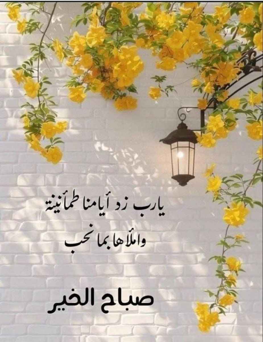 alibinmasoad's tweet image. 