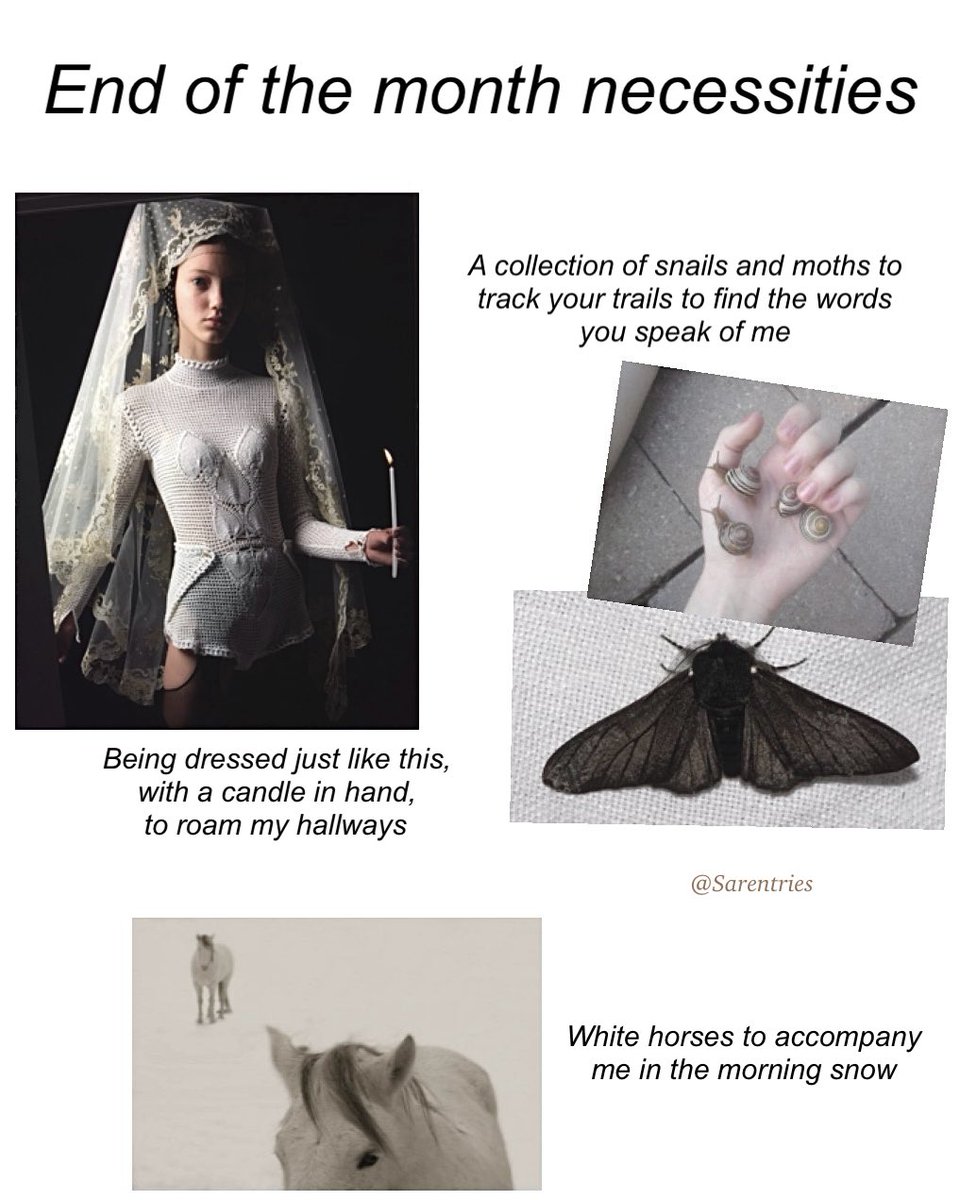 Instagram.com/sarentries