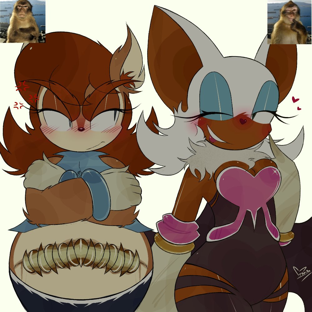 Tommys_Soul's tweet photo. Reference for these two beautiful ones 😋 #AU #sallyacorn #RougeTheBat https://t.co/pl2Sud9yl9