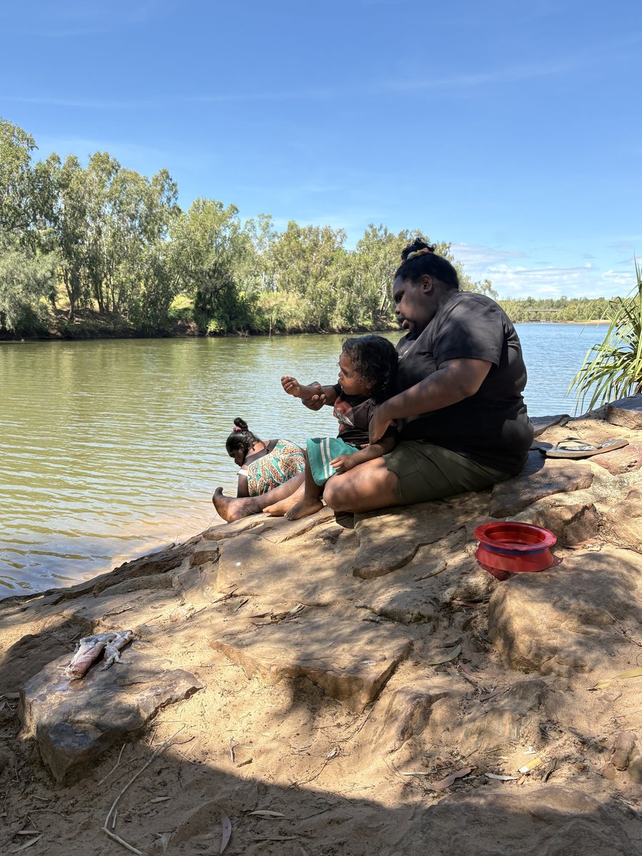 Indi Kindi tweet media