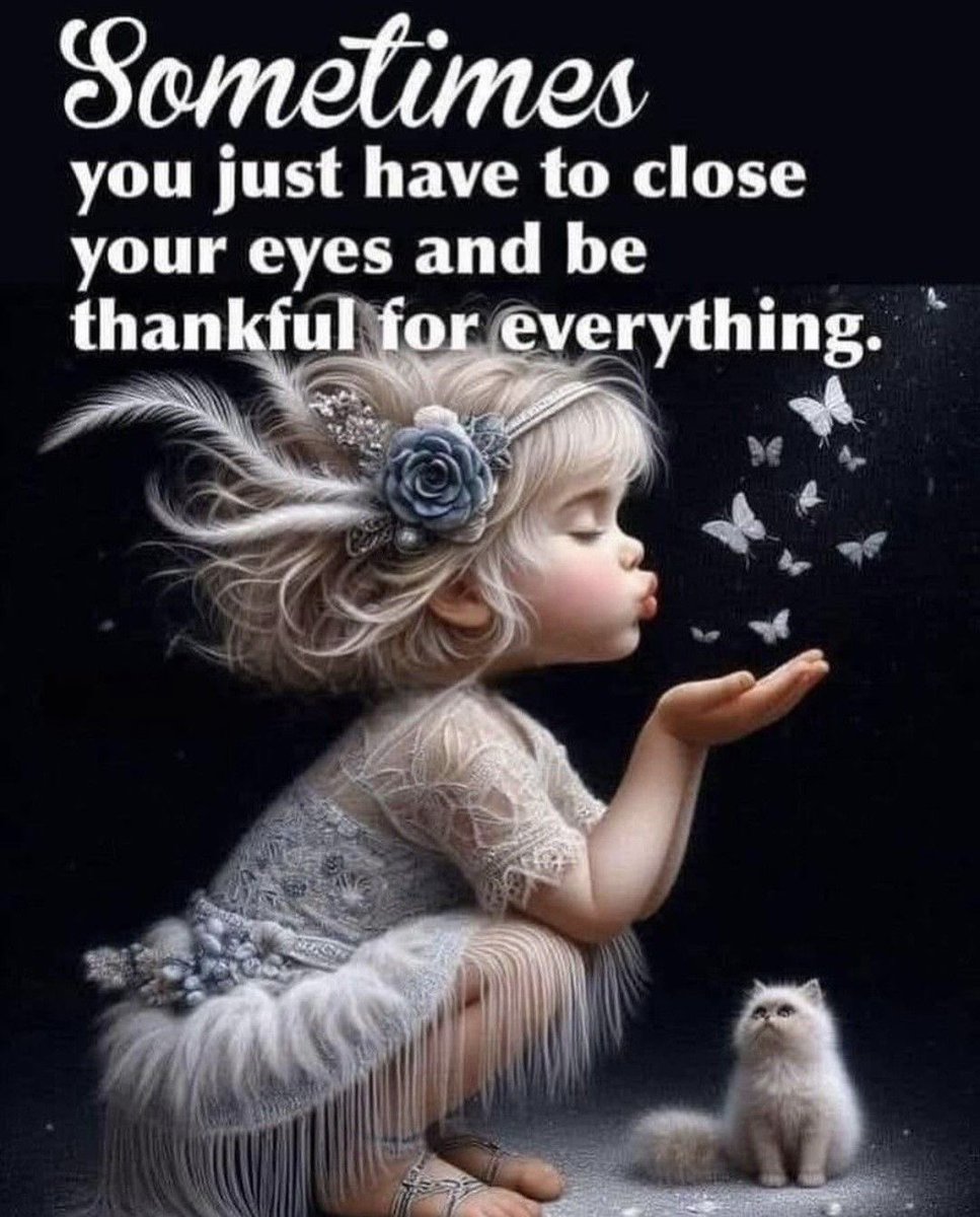 KathleenWinche3's tweet image. Goodnight everyone 🙏
Sleep well 😴 
Sweet dreams 💤 
See you tomorrow ♥️