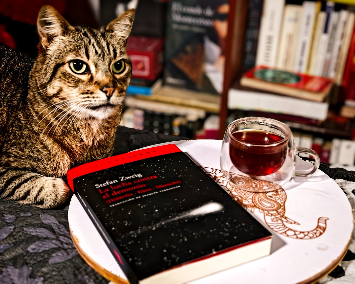 stephanyLect's tweet image. “Sólo aquel que lleva en su pecho todo un infierno puede luchar como lucha un dios...&quot;.

—Stefan Zweig/ La lucha contra el demonio 
Edición @Acantilado1999

#stefanzweig #book #booklover