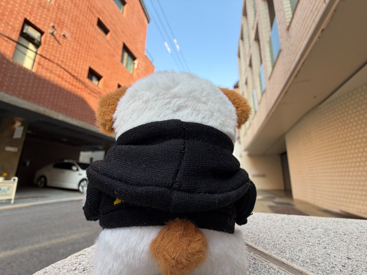 WishingFor_Snow's tweet photo. 설레는 마음으로 첫눈을 기다리다 보니
마침내 11월 20일이 왔습니다.

조규매 요원은 출근 후, 
오늘의 하늘을 집중 관측 중입니다.🔍 https://t.co/4urgQXjbP2