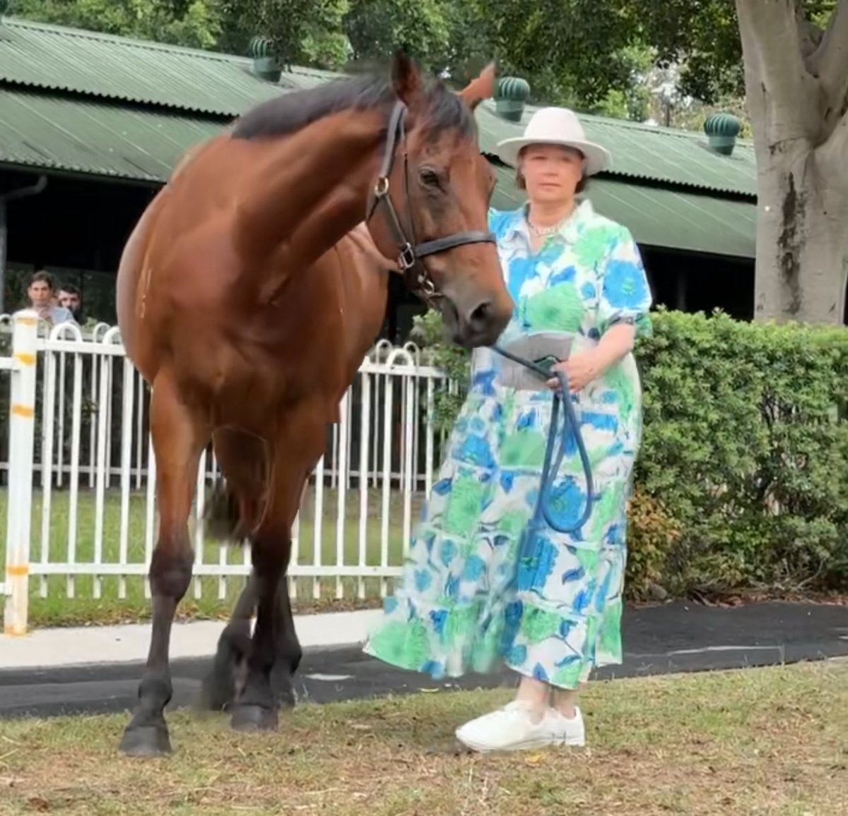 Caroline tweet media