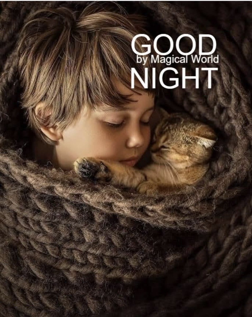 kittytriplet's tweet image. Goodnight everyone I hope you all have sweet dreams and sleep with angels 👼 on your pillows🌹❤️🙏