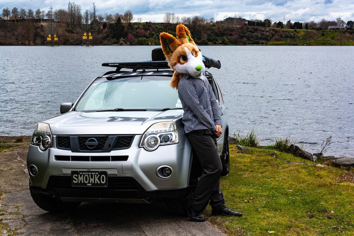 Paeroa (KiwiWolf)🇳🇿 tweet media